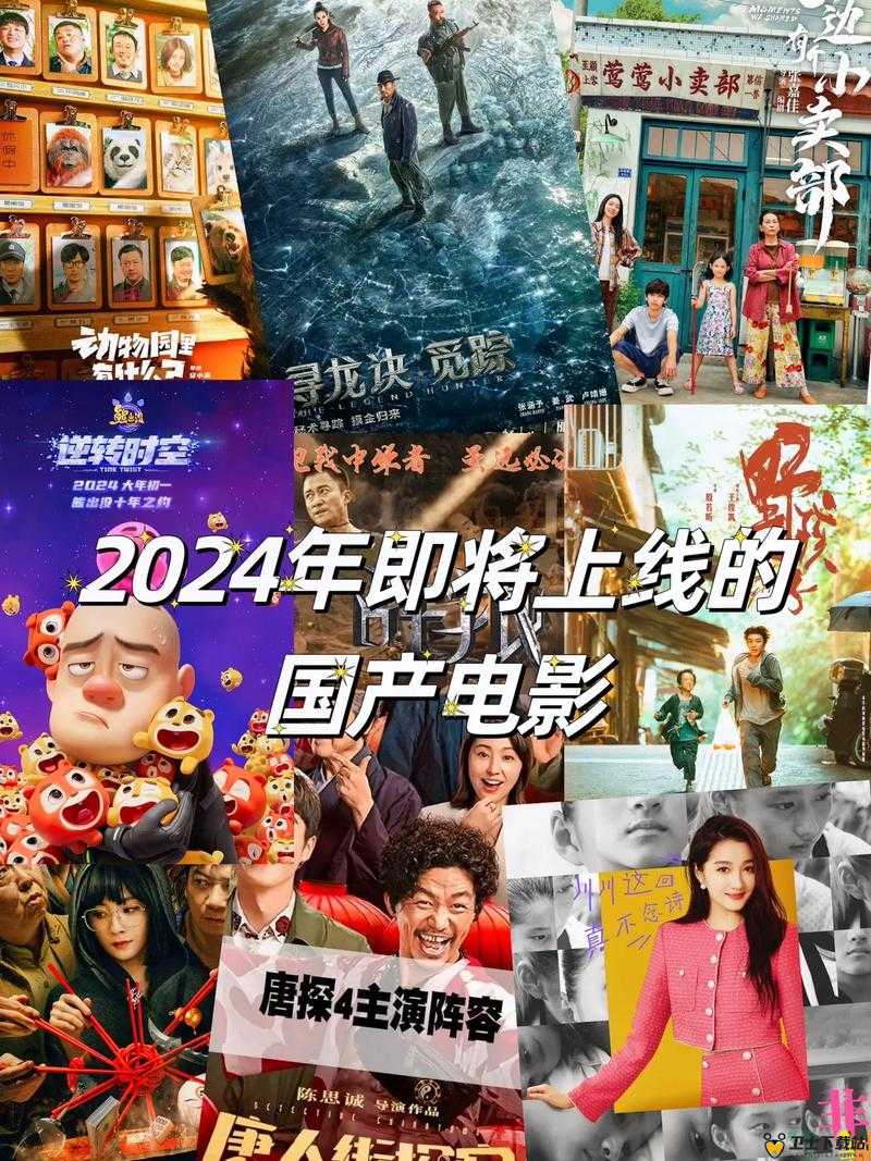 2024 年中国产电影佳作盘点：回顾与展望