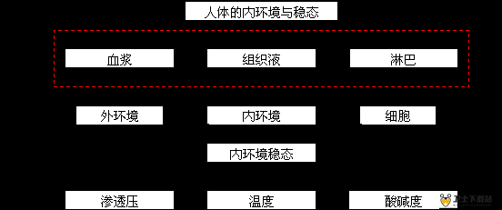 体内精汇编 6 ：深入探索身体内部精妙组合的详细解析